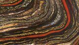 Polished Tiger Iron Stromatolite - Billion Years #129307-1